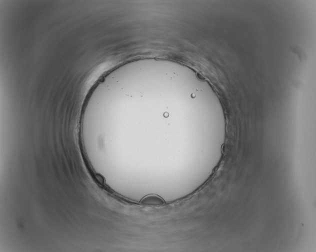 X0000113750003200910141036