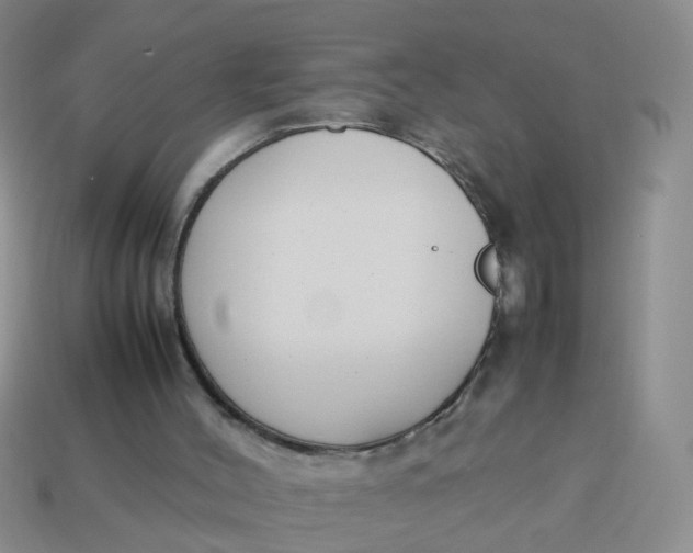 X0000113750004200910141036