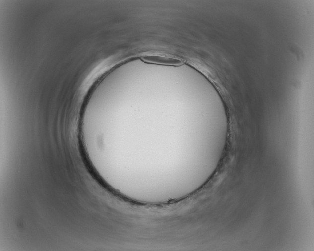 X0000113750007200910141036