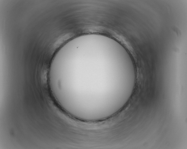 X0000113750010200910141036