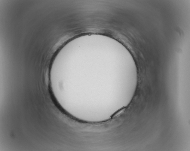 X0000113750011200910141036