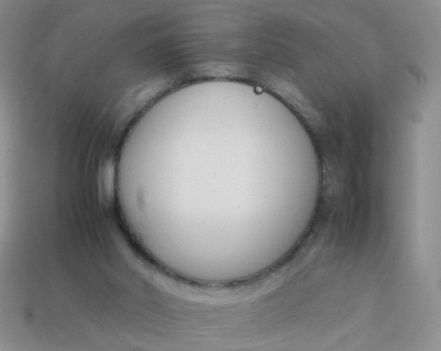 X0000113750014200910141036