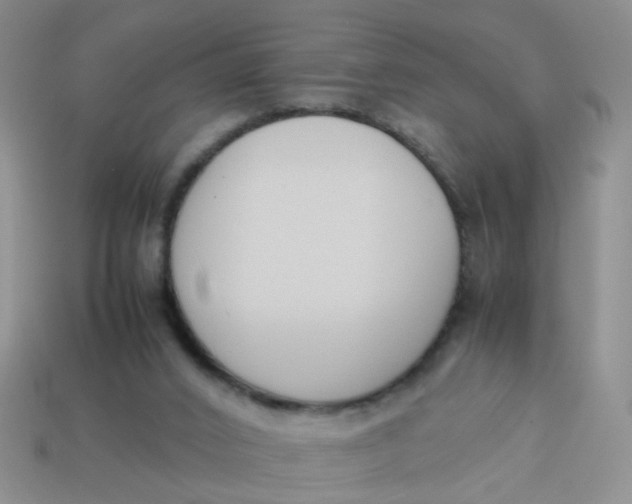 X0000113750016200910141036