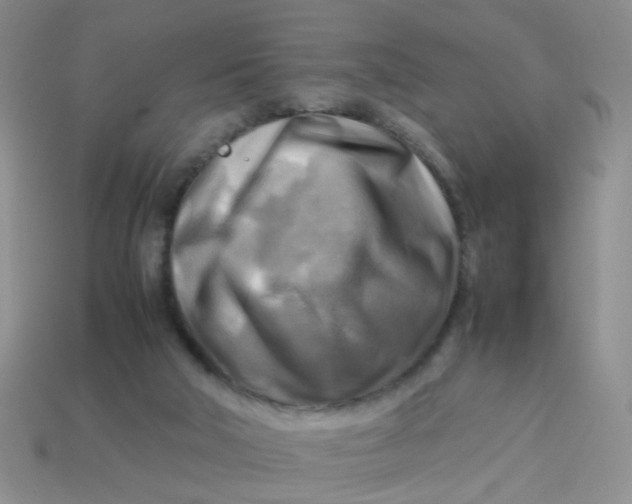 X0000113750018200910141036