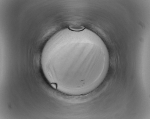 X0000113750023200910141036