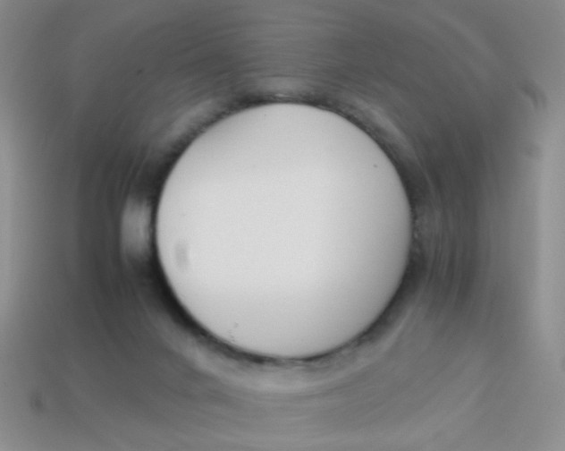 X0000113750024200910141036