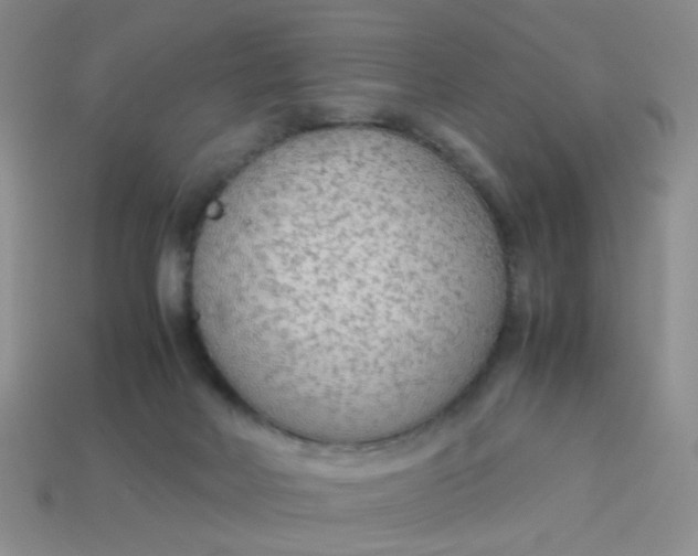 X0000113750026200910141036