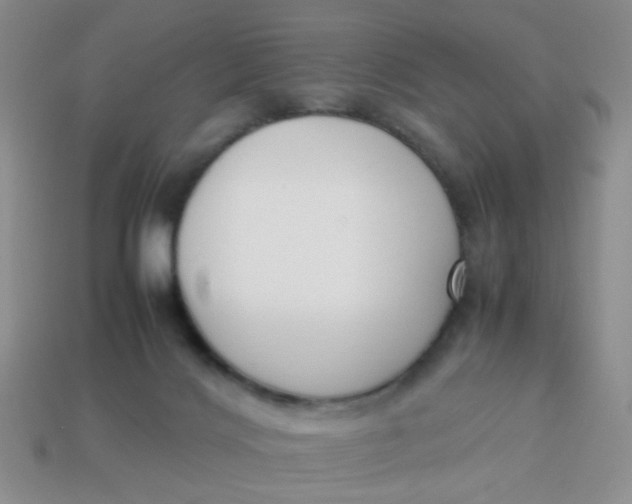 X0000113750028200910141036