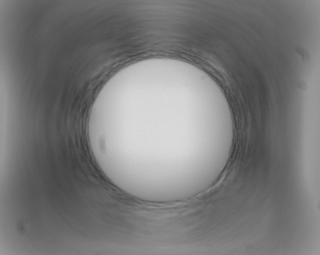 X0000113750029200910141036