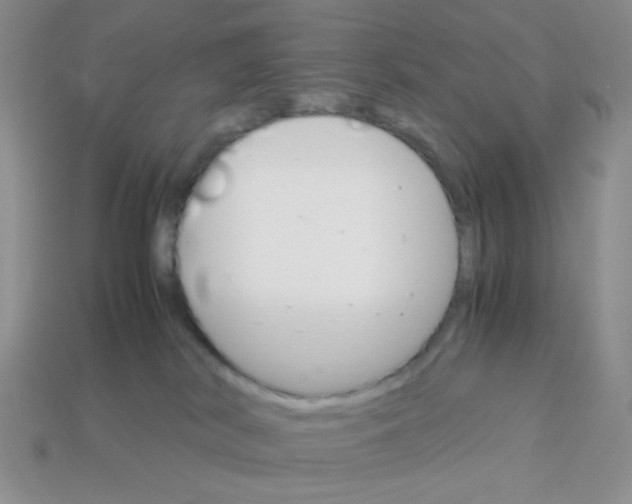 X0000113750038200910141036