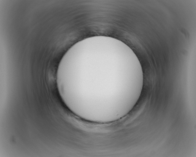 X0000113750040200910141036