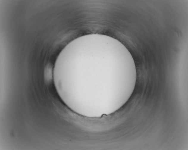 X0000113750042200910141036