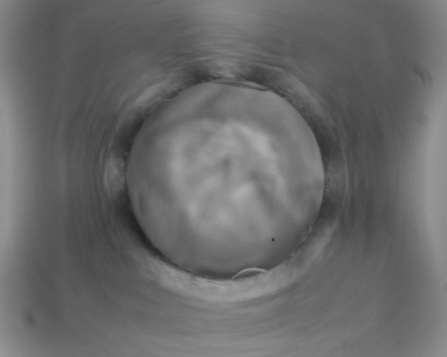 X0000113750043200910141036