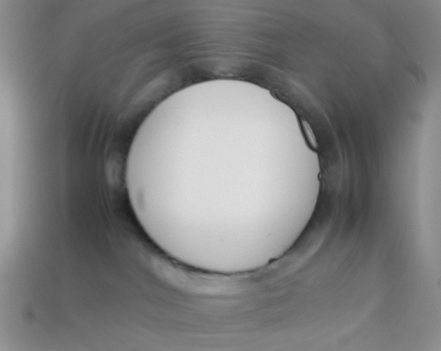 X0000113750044200910141036