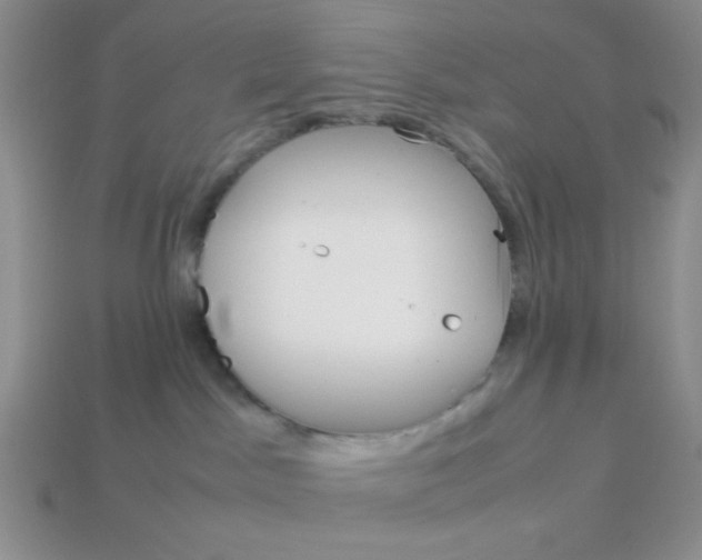 X0000113750045200910141036