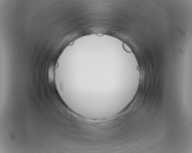 X0000113750046200910141036