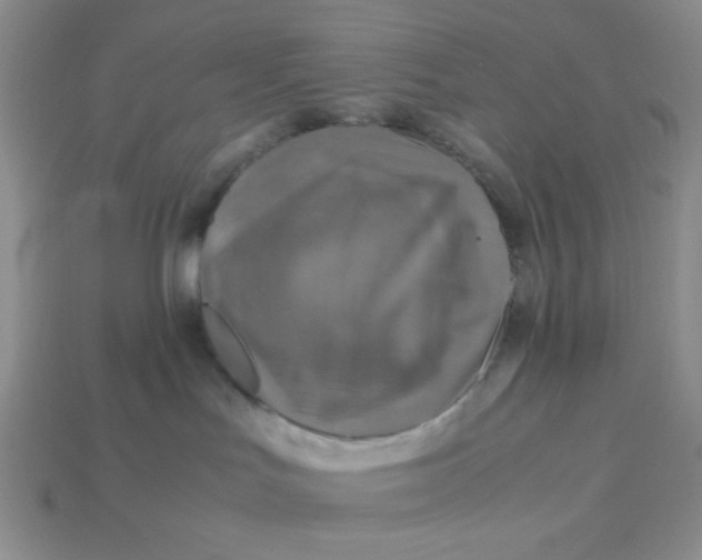 X0000113750047200910141036