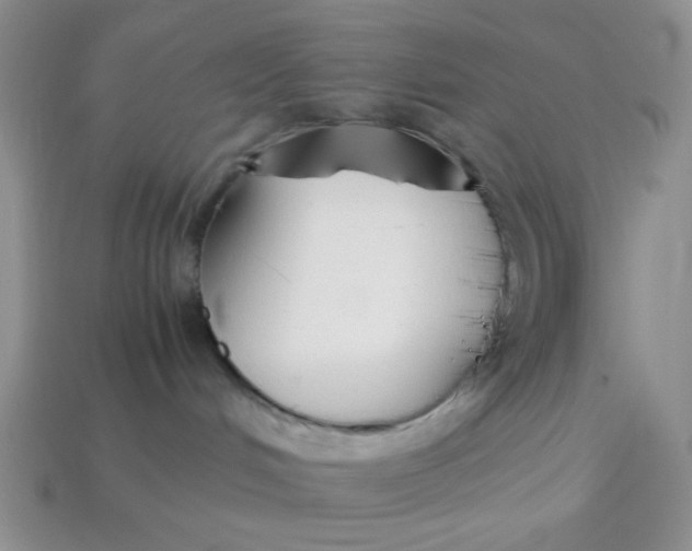 X0000113750048200910141036