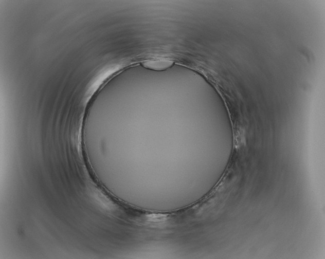 X0000113750052200910141035