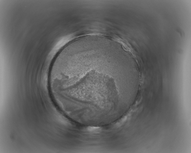 X0000113750055200910141035