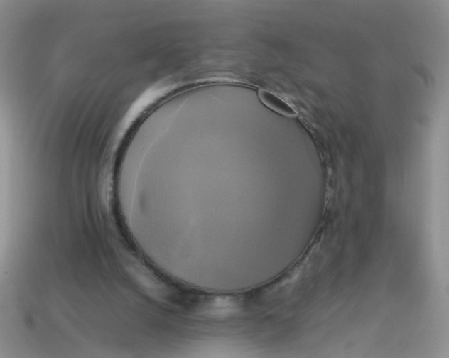 X0000113750056200910141035