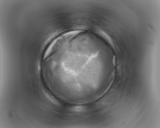 X0000113750059200910141035