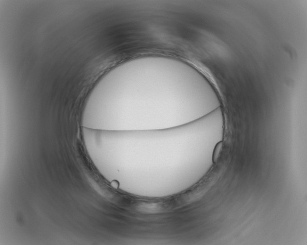 X0000113750061200910141035