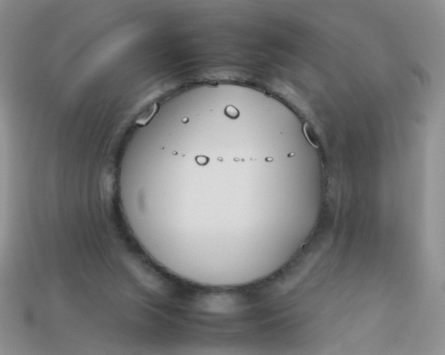 X0000113750063200910141035