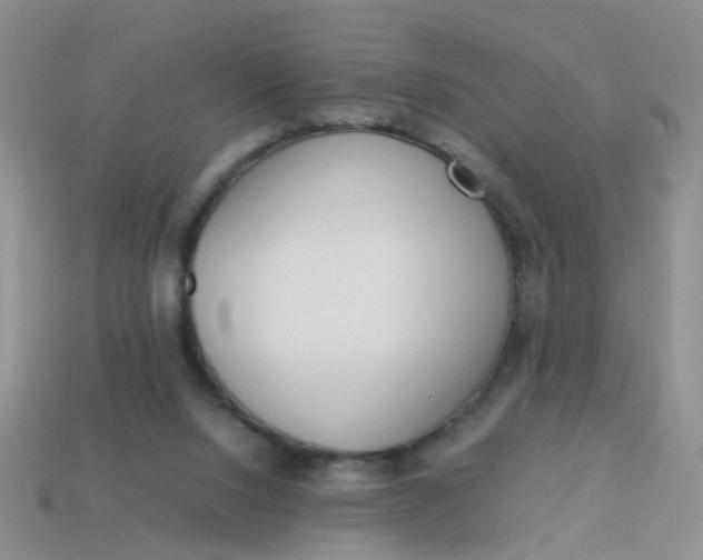 X0000113750064200910141035