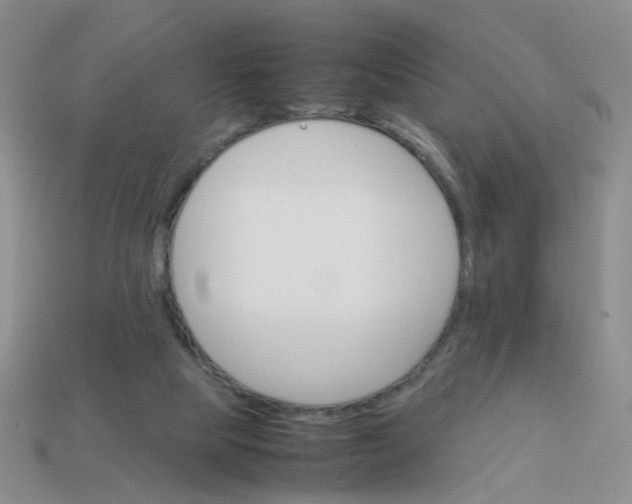 X0000113750065200910141035