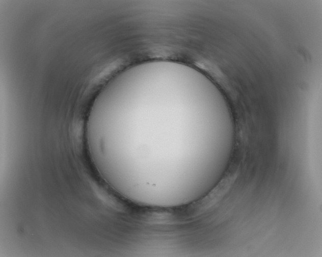 X0000113750066200910141035