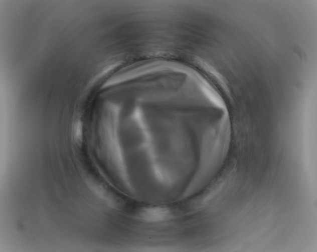 X0000113750067200910141035