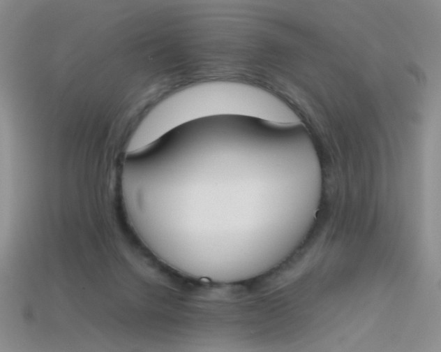 X0000113750072200910141035