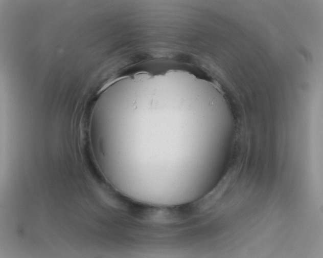 X0000113750074200910141035