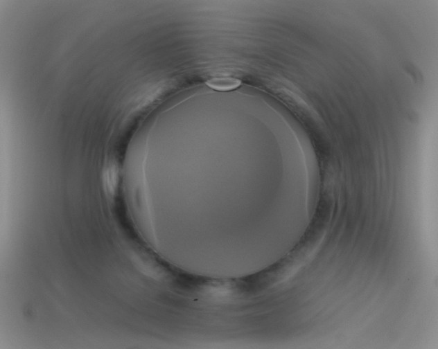 X0000113750076200910141035