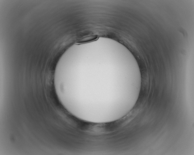 X0000113750078200910141035