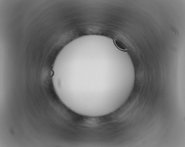 X0000113750079200910141035