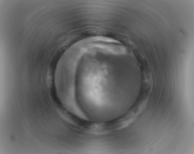 X0000113750080200910141035