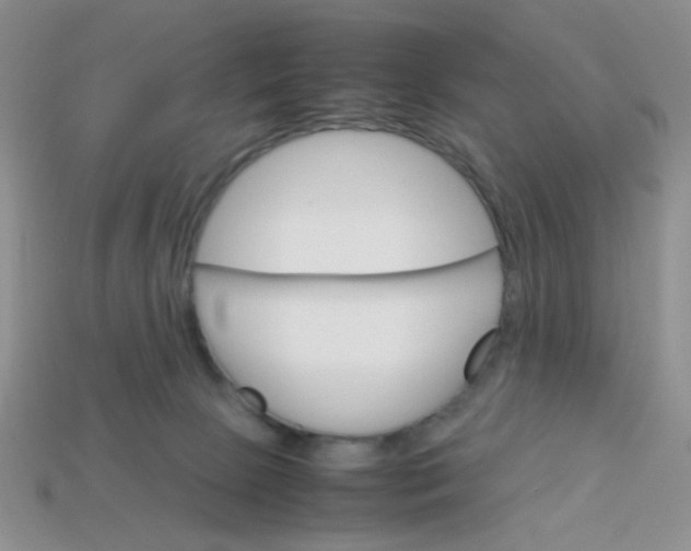 X0000113750081200910141035