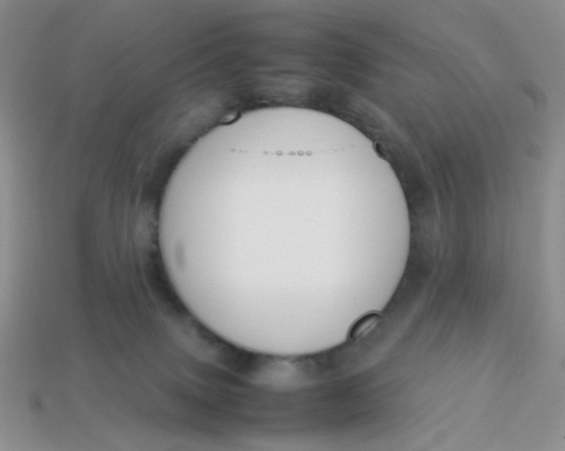 X0000113750083200910141035