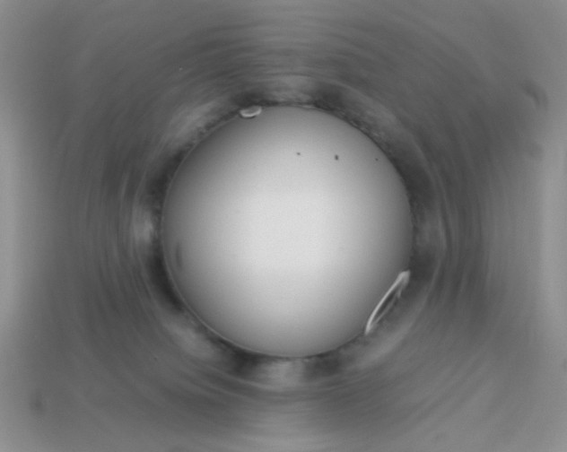 X0000113750084200910141035