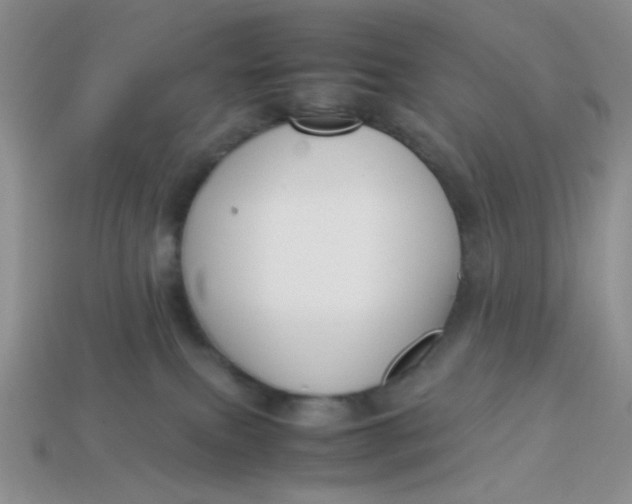 X0000113750087200910141035