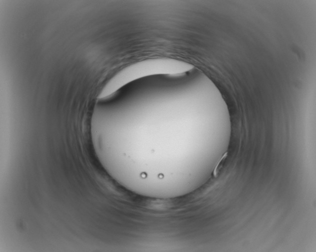 X0000113750088200910141036