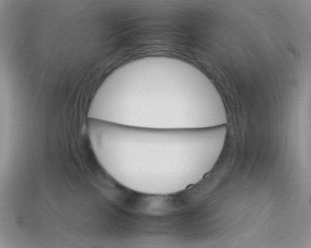 X0000113750089200910141036