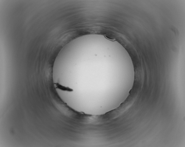 X0000113750092200910141036