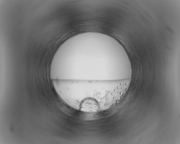 X0000113750093200910141036