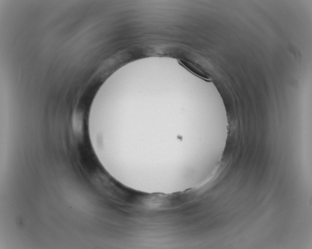 X0000113750094200910141036