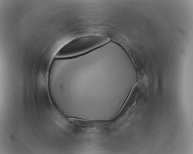 X0000113750100200910141035