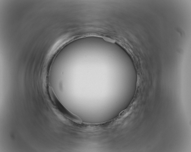 X0000113750101200910141035