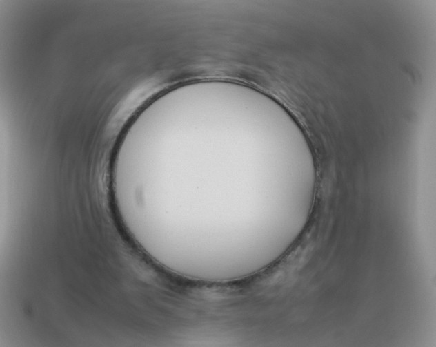 X0000113750103200910141035